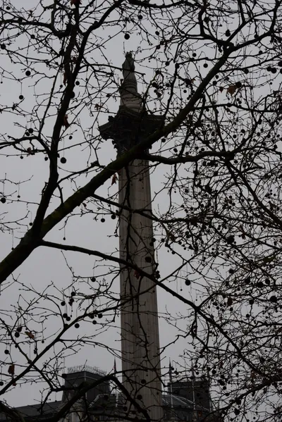 DSC_5767 (Large).JPG